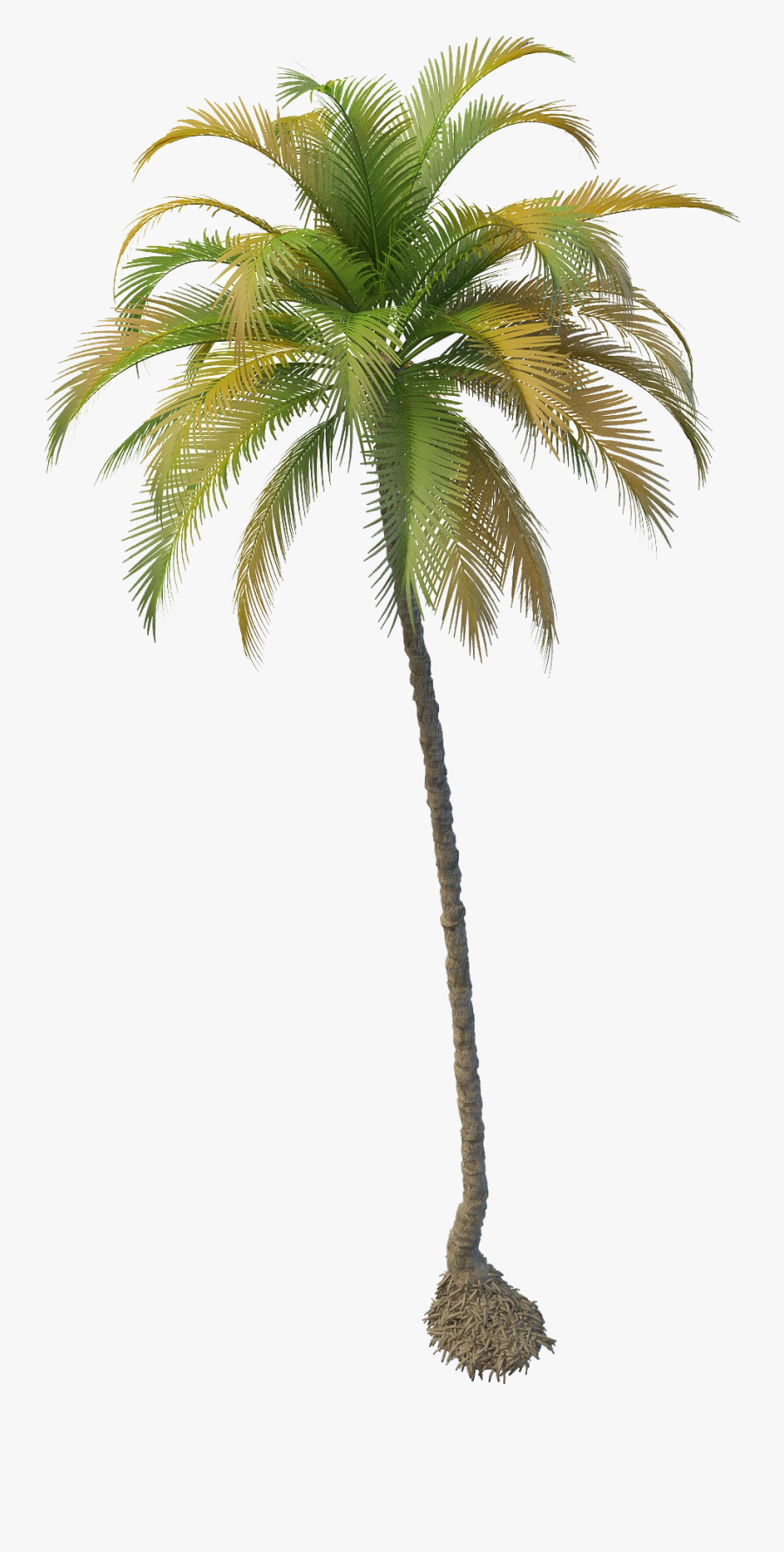Transparent Tree Png Plan View - Palm Tree Transparent, Transparent Clipart