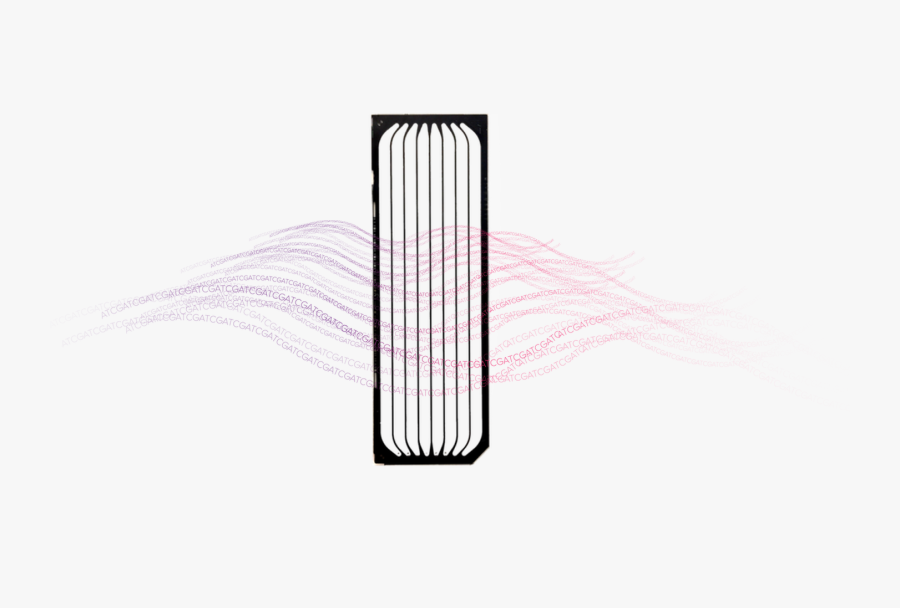 And Experience To Push Us To The Forefront Of Science - Sketch, Transparent Clipart
