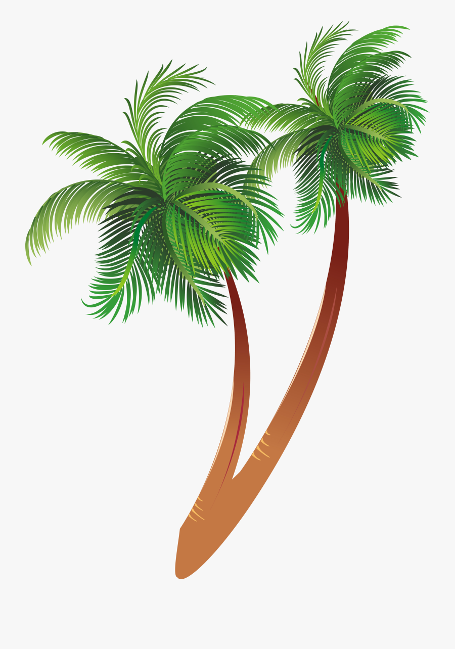 Free Download Cartoon Palm Tree Clipart Coconut Palm - Cartoon Coconut Tree Png, Transparent Clipart