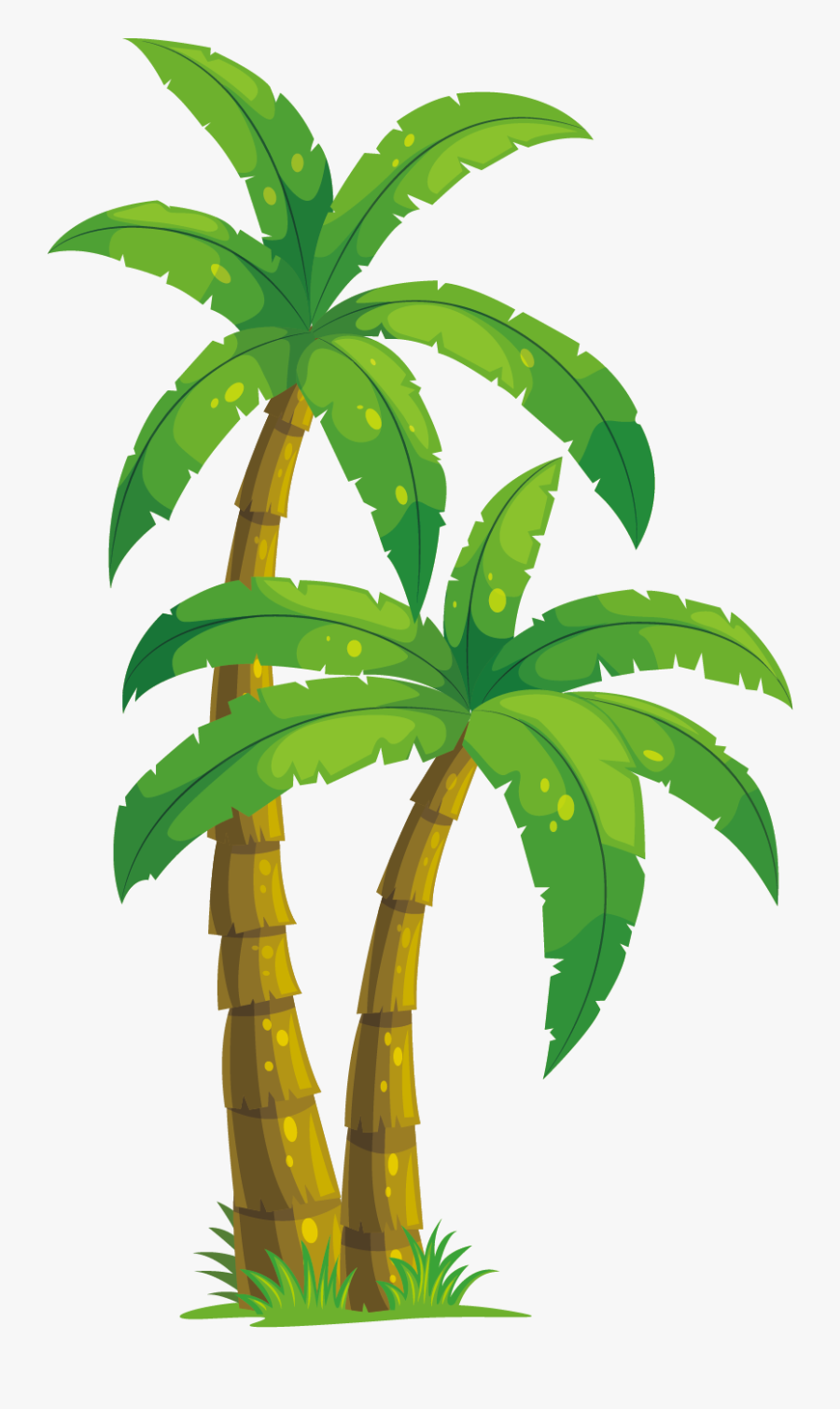 Arecaceae Coconut Tree Illustration - Coconut Tree Vector Transparent, Transparent Clipart
