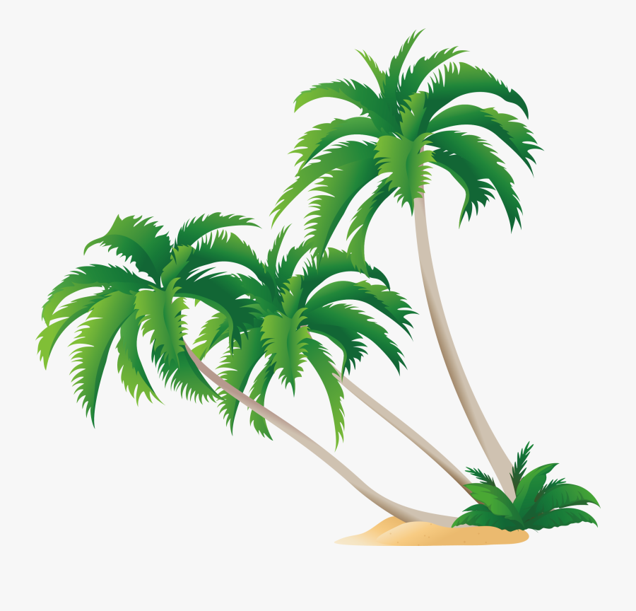 Transparent Coconut Tree Png - Coconut Tree Vector Png, Transparent Clipart