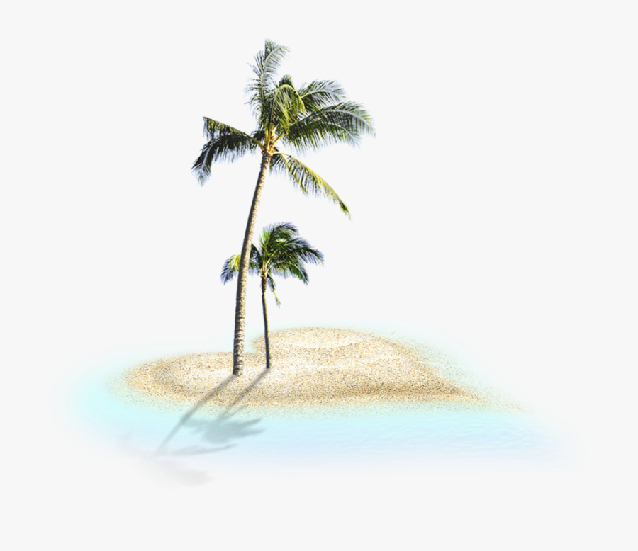 Coconut Trees On A Heart-shaped Shore Png Image - Coconut Tree Png, Transparent Clipart