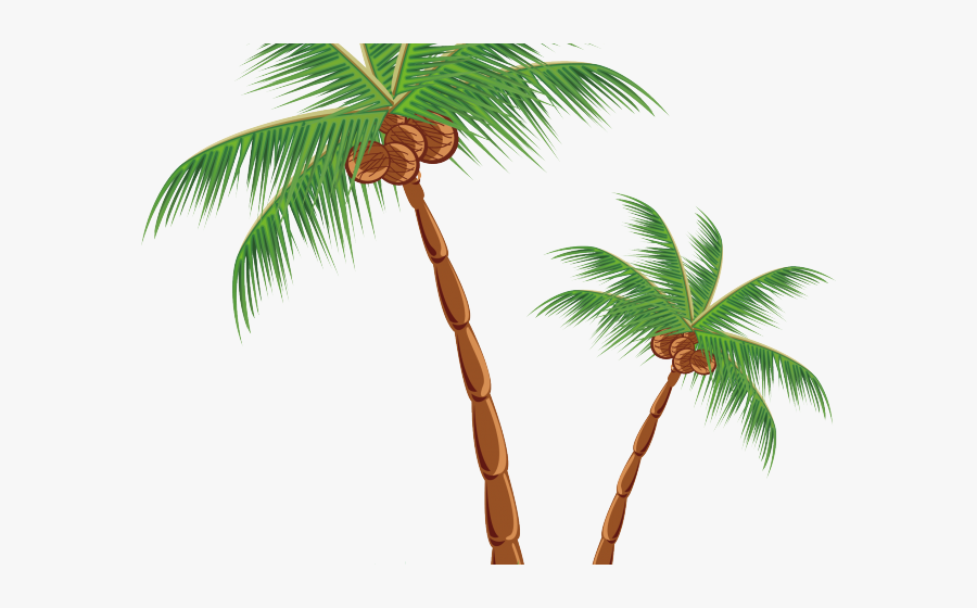Transparent Coconut Tree Clipart - Drawings Of A Hut, Transparent Clipart