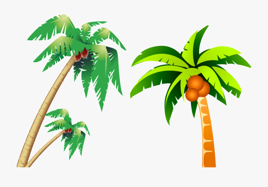 Tropical Coconut Tree Picture - Coconut Tree Clipart, Transparent Clipart