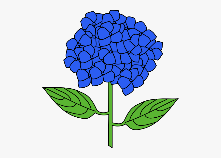 Hydrangea Clip Art - Clip Art Hydrangea, Transparent Clipart