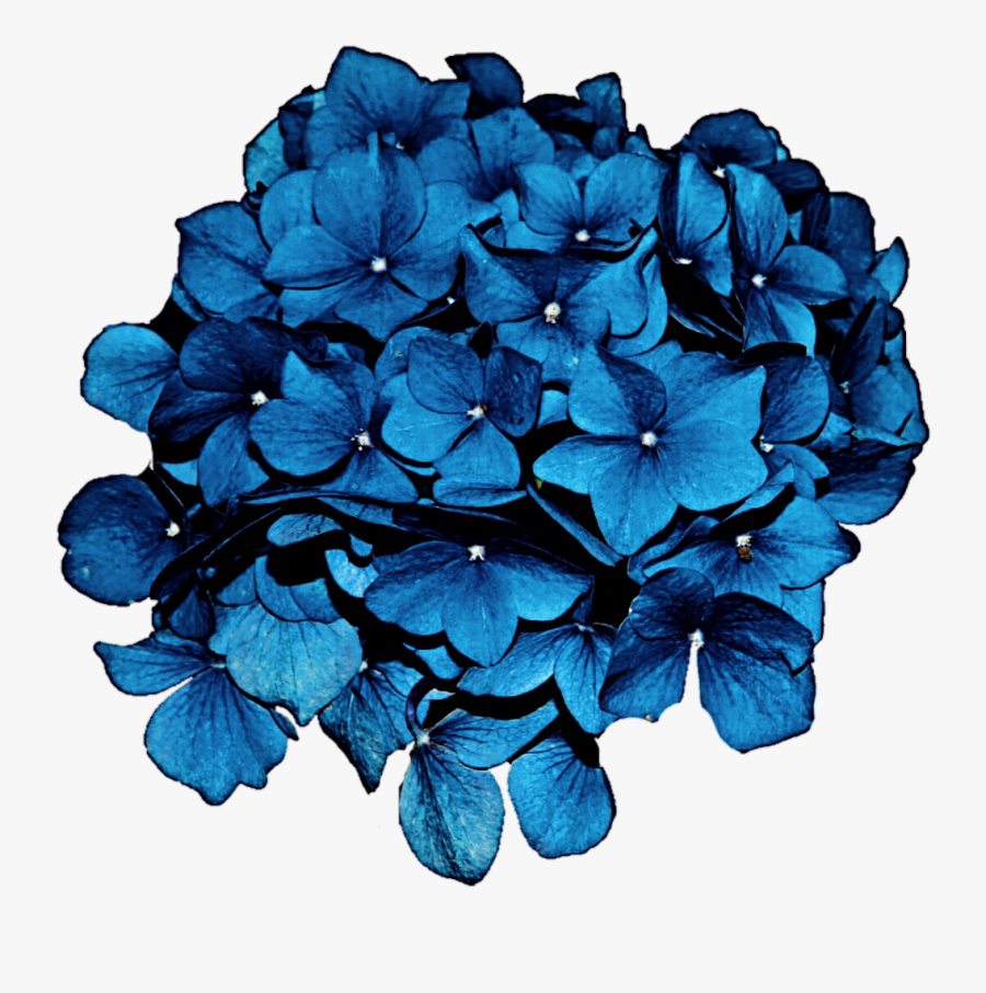Transparent Thoughts Clipart - Blue Flower, Transparent Clipart