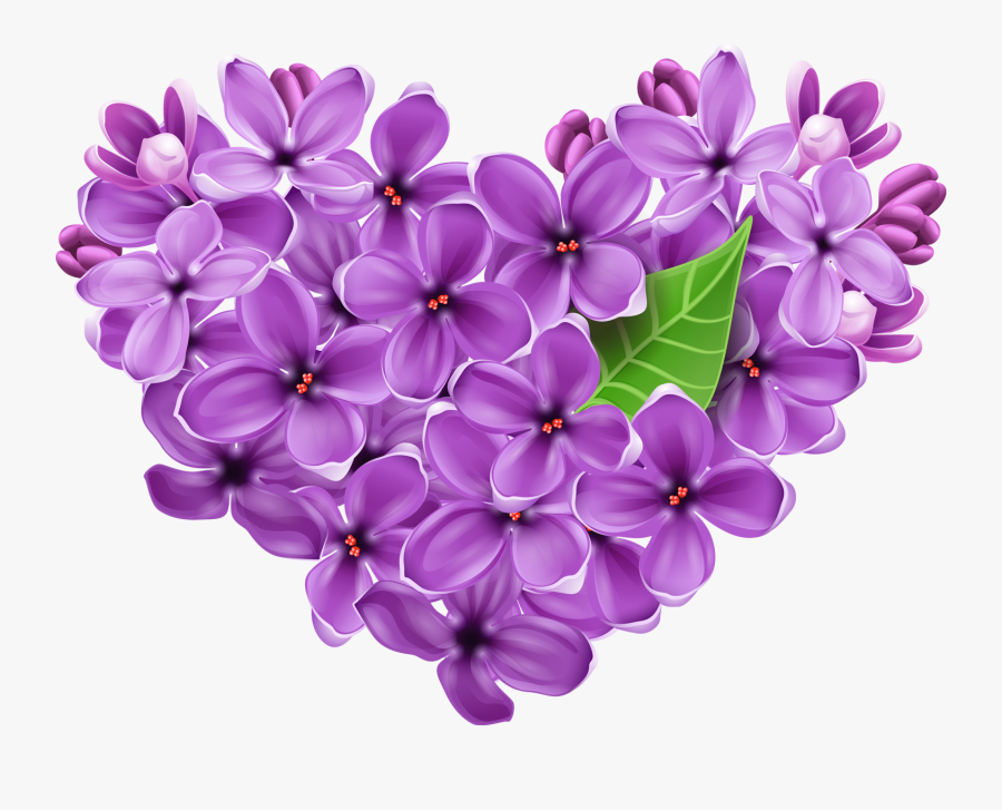 Transparent Hydrangea Clipart - Lilac Clip Art, Transparent Clipart