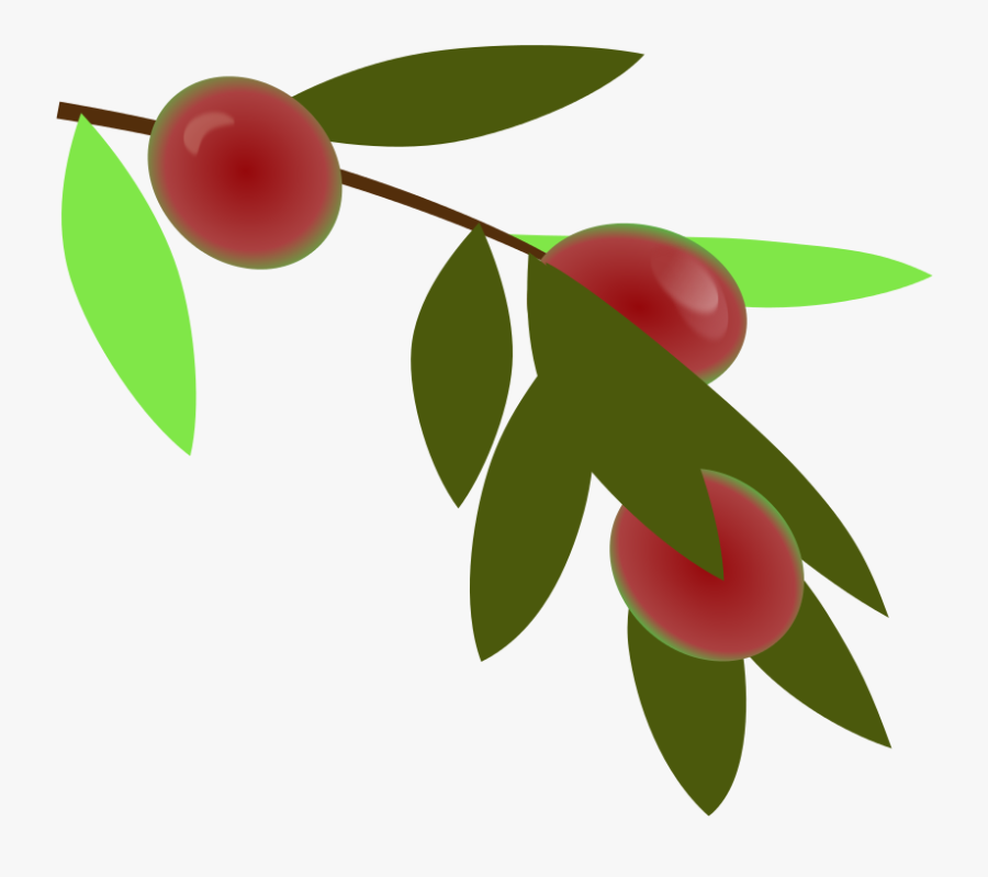 Hydrangea Clipart By Warszawianka - Plant, Transparent Clipart