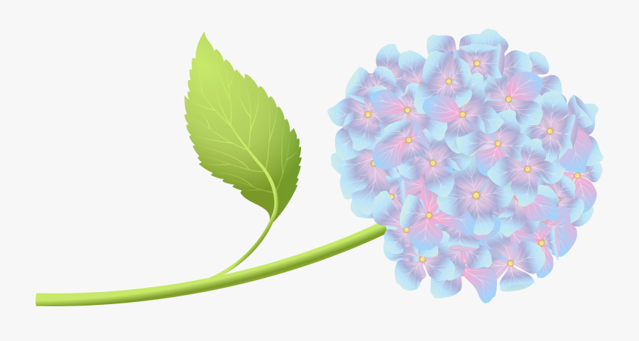 Banner Black And White Hortensia Clip Art Png - Hydrangea Clipart Transparent Background, Transparent Clipart