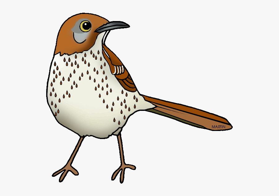 Georgia - Clipart - Georgia State Bird Clipart, Transparent Clipart