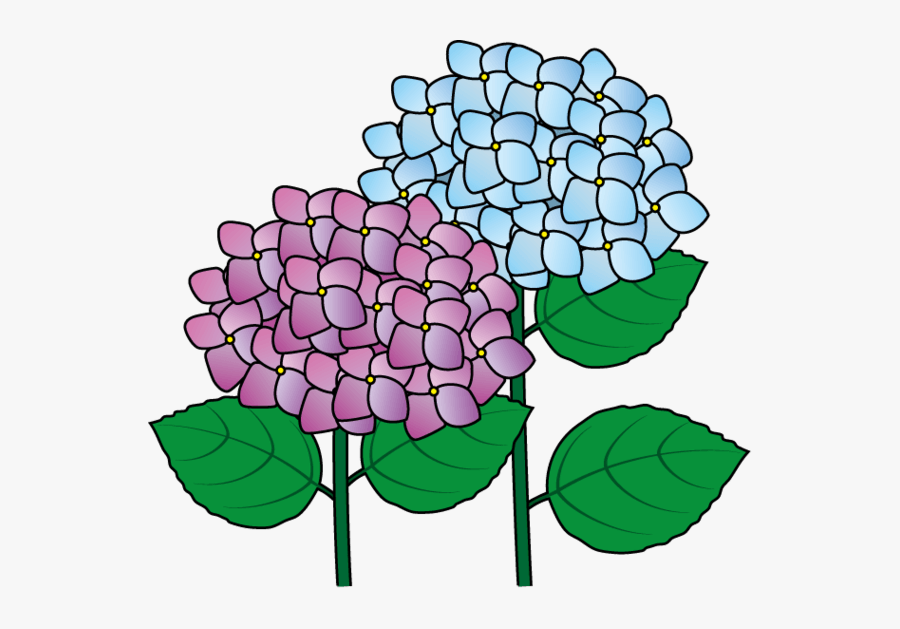 Hydrangea Clip Art Clipart - Clip Art, Transparent Clipart