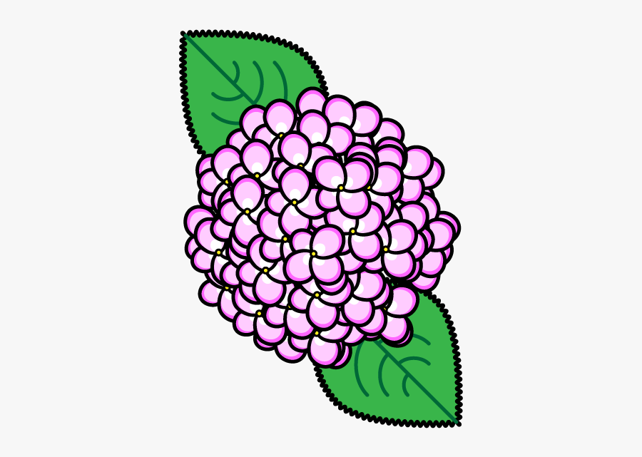 Flower French Hydrangea Monochrome Painting - French Hydrangea, Transparent Clipart