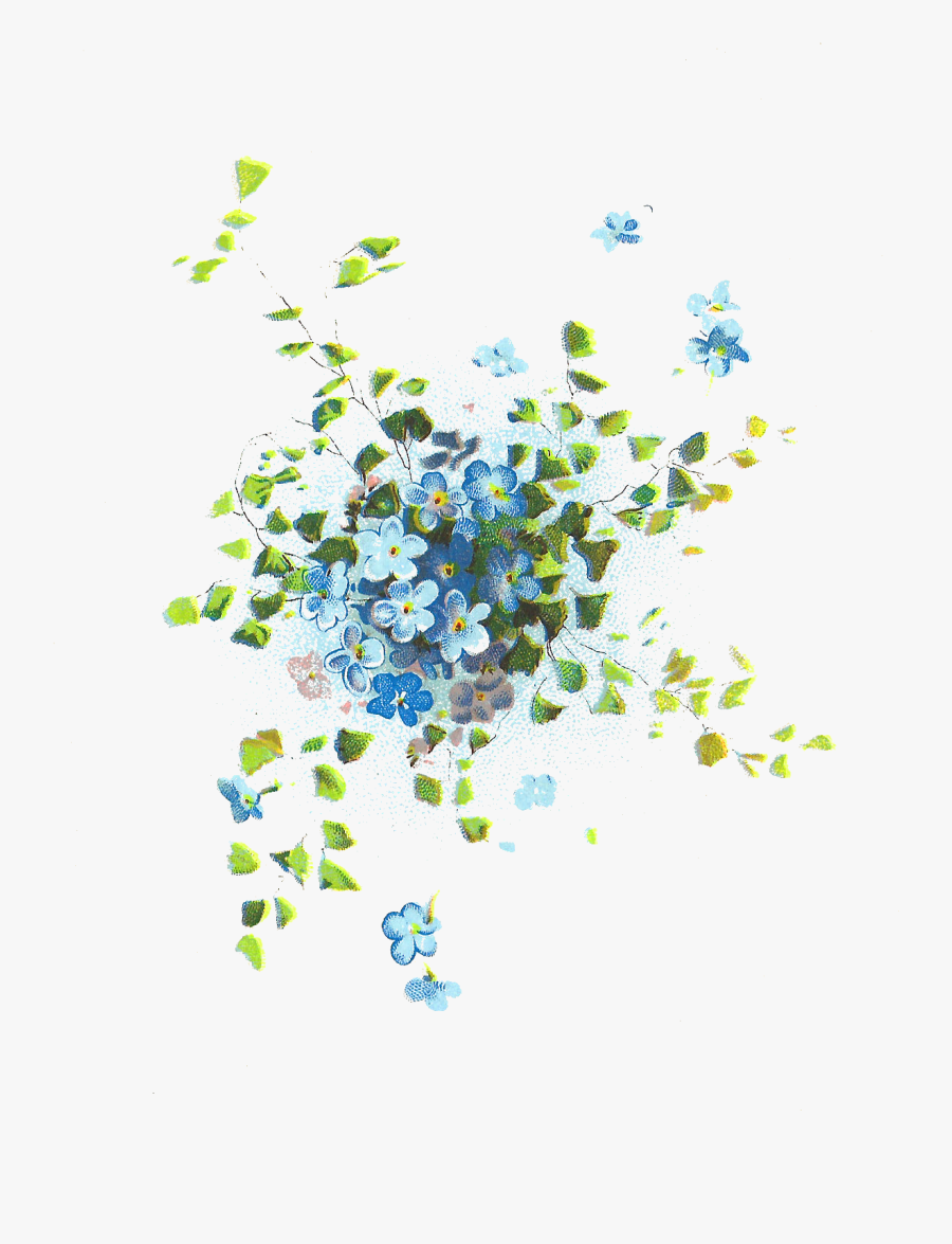 Picture Black And White Download Hydrangea Clipart - Forget Me Not Flowers Art, Transparent Clipart