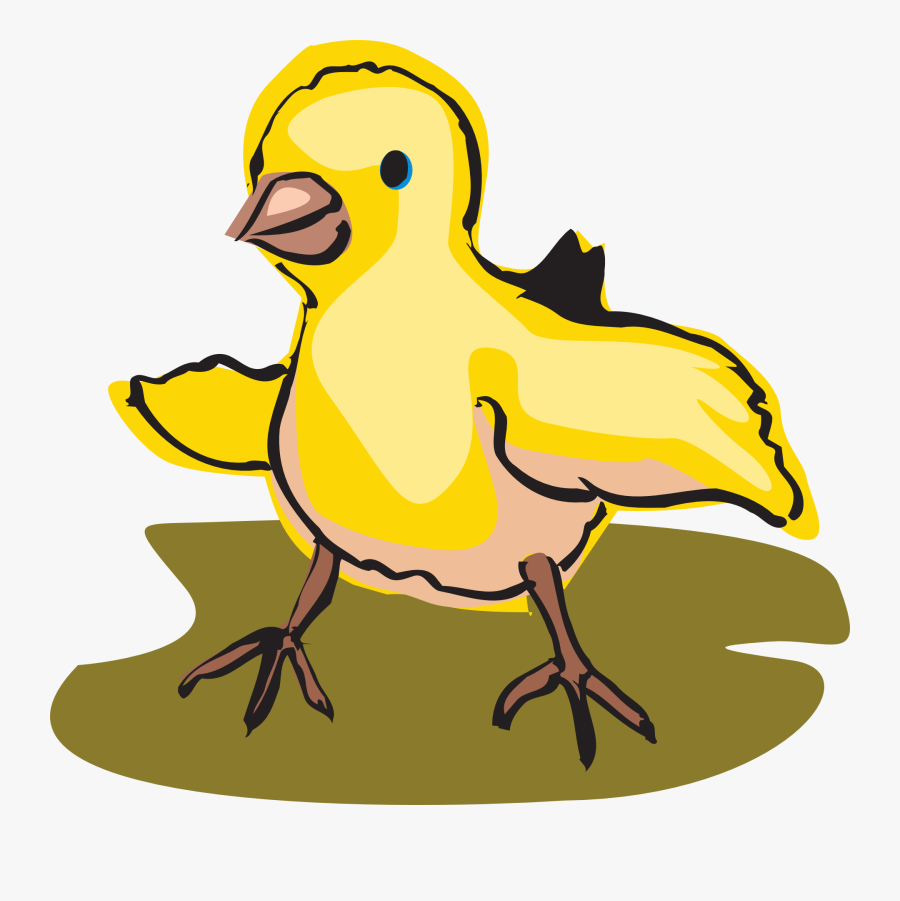 Transparent Baby Chicks Clipart - Baby Bird Walking Clipart, Transparent Clipart