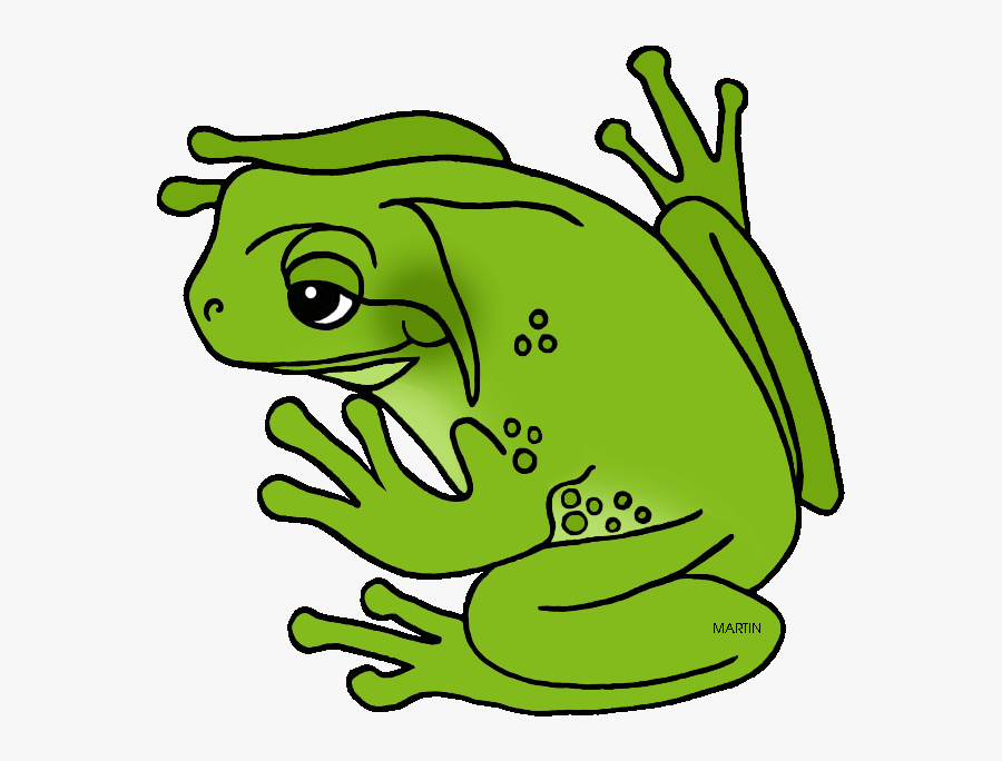 Georgia State Amphibian - Green Tree Frog Clipart, Transparent Clipart