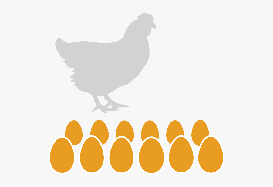 Eggs Dozen - Hen Silhouette, Transparent Clipart
