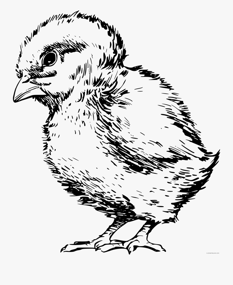 Free Download Page Of Clipartblack Com - Punk Rock Birthday Card, Transparent Clipart