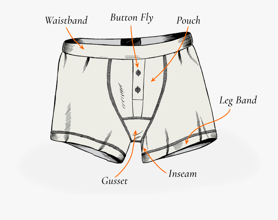 Underwear Automony - Underpants, Transparent Clipart
