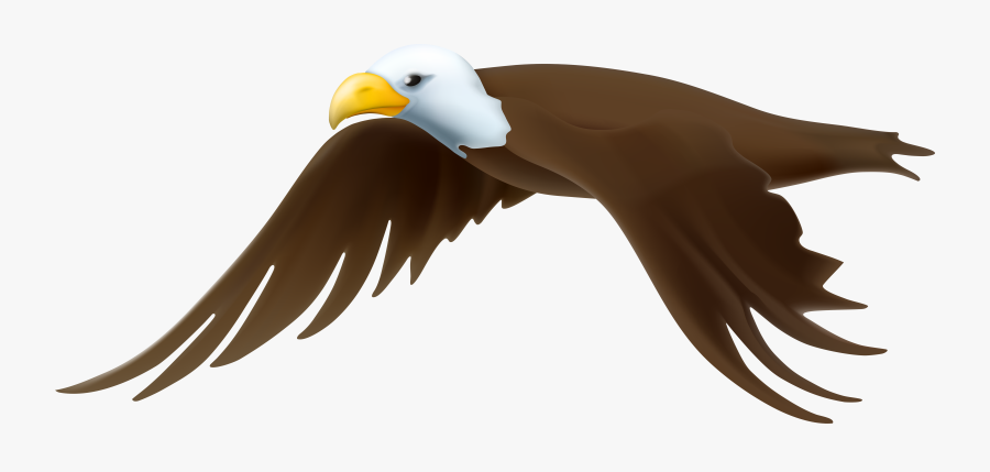 Transparent Png Clip Art - Eagle Clipart No Background, Transparent Clipart