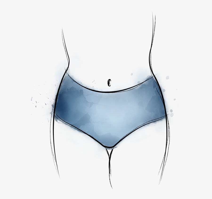 Sketch, Transparent Clipart