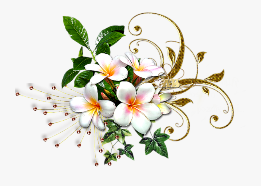 #mq #white #gold #flowers #flower #garden - Flower, Transparent Clipart