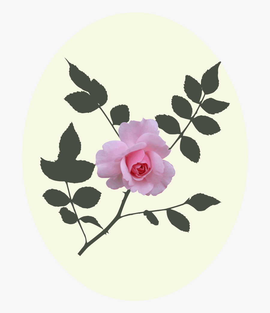 Pink,plant,flower - Vector Graphics, Transparent Clipart