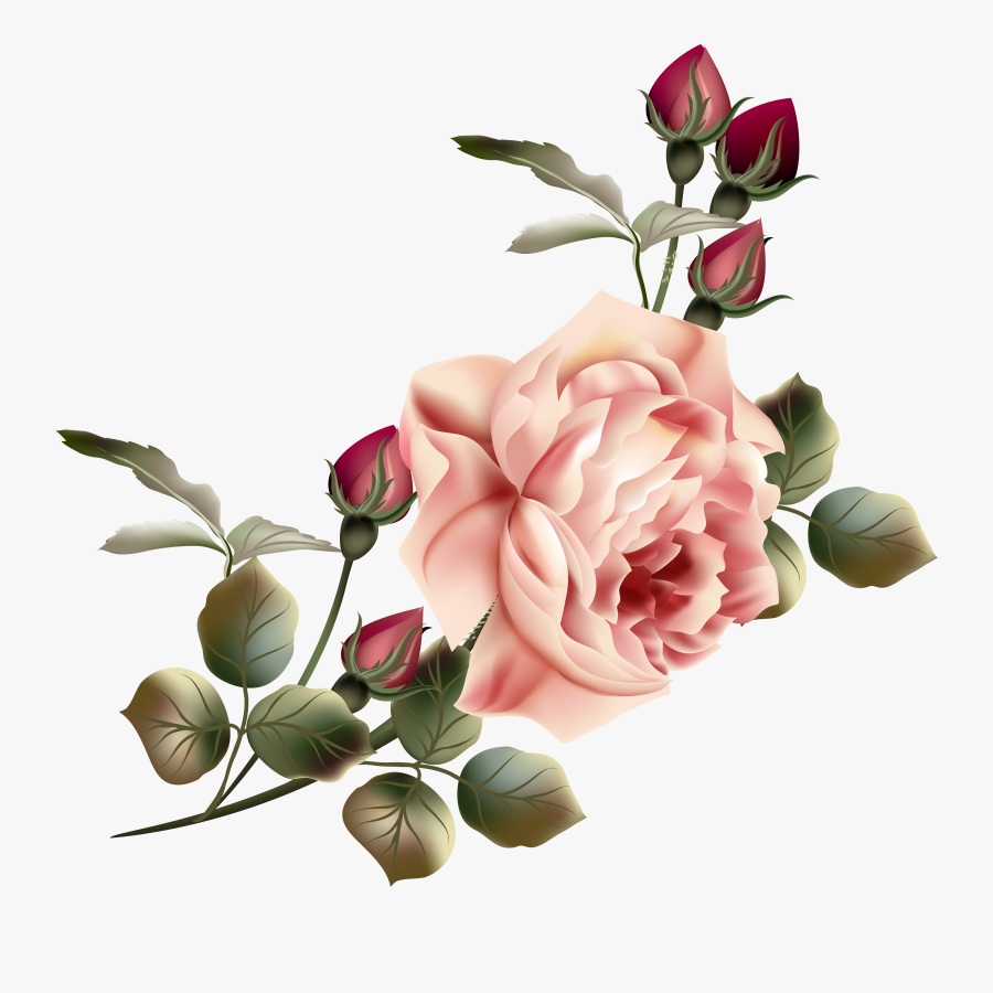 Transparent Rose Garden Png - Vintage Flowers Transparent Background, Transparent Clipart