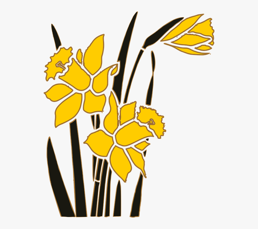 Flower, Garden, Narcissus, Plant - Narcissus Graphic, Transparent Clipart