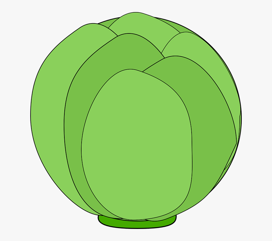 Free Vector Cabbage Clip Art - ملفوف كرتون, Transparent Clipart