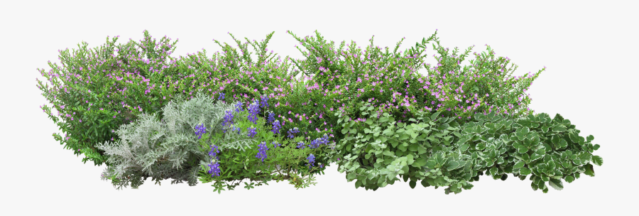 Tree Flowers Grass Angels Garden Hq Image Free Png - Garden Png, Transparent Clipart