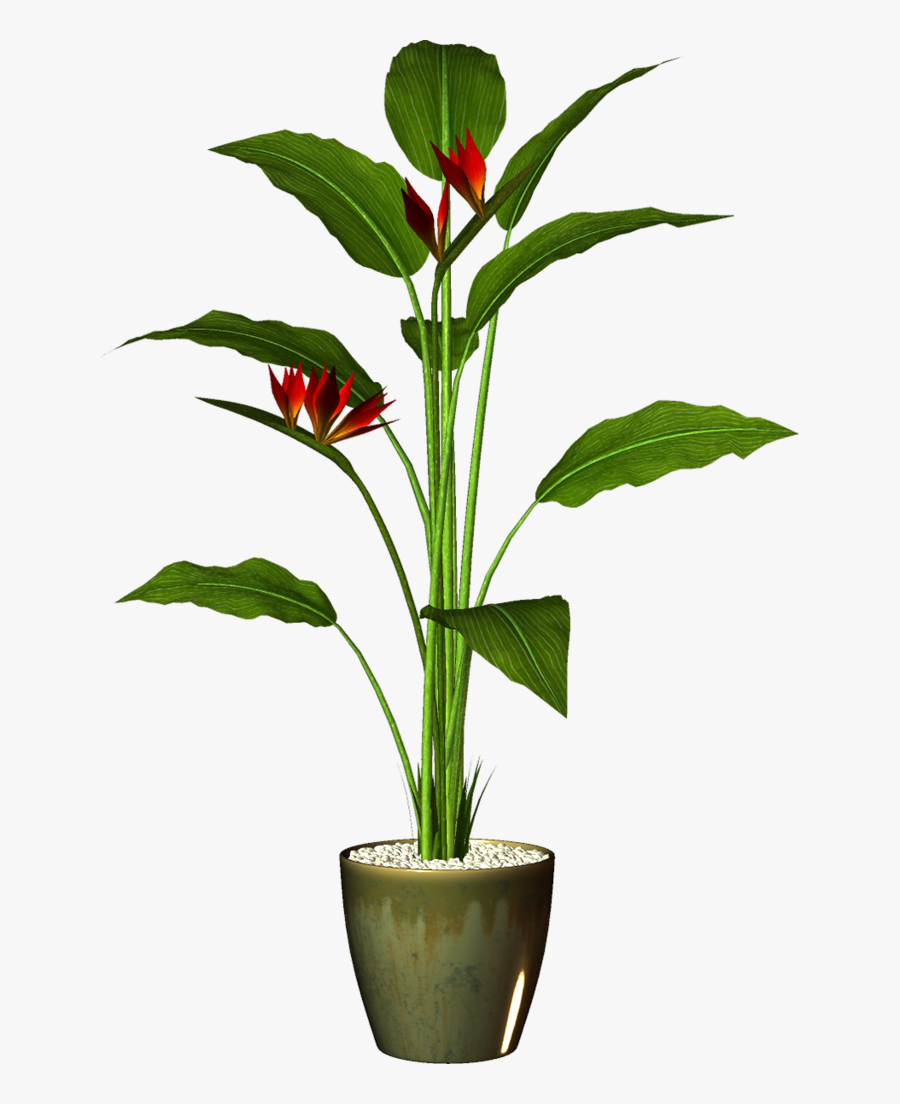 Potted Plants, Potted Flowers, Garden Pots, Clipart, - Plant With Pot Png, Transparent Clipart