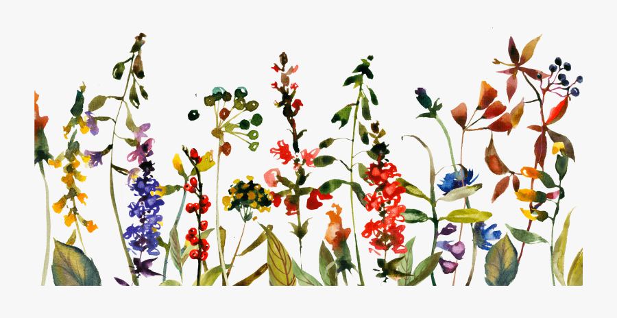 Snowflake Clipart Winter Flower - Wild Flower Watercolor Clipart, Transparent Clipart