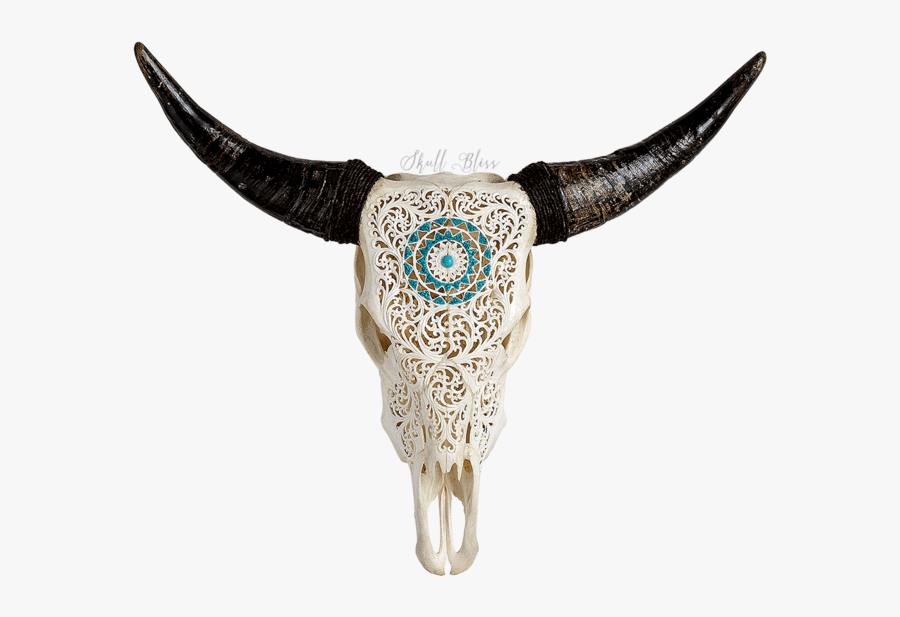 Skull Variant Skull Only - Carved Cow Skull, Transparent Clipart