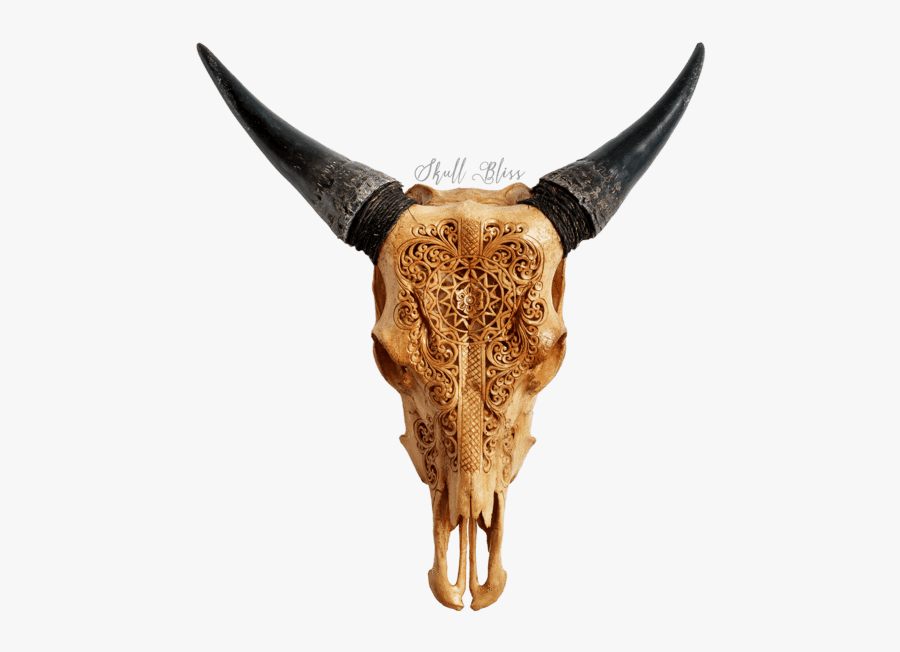 Carved Cow Skull - Skull Bliss, Transparent Clipart