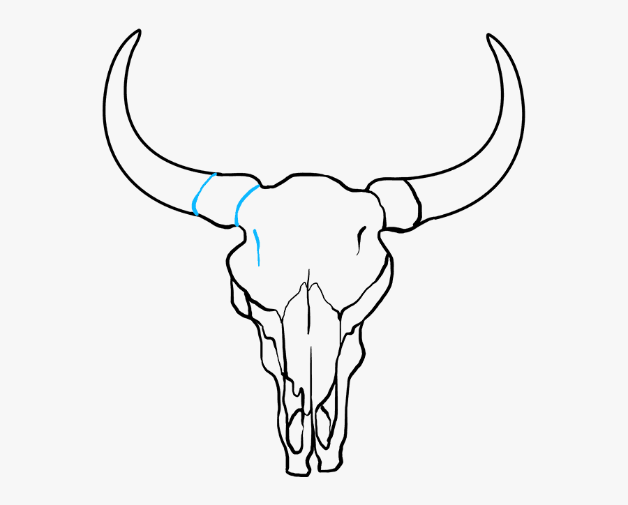 How To Draw Bull Skull, Transparent Clipart