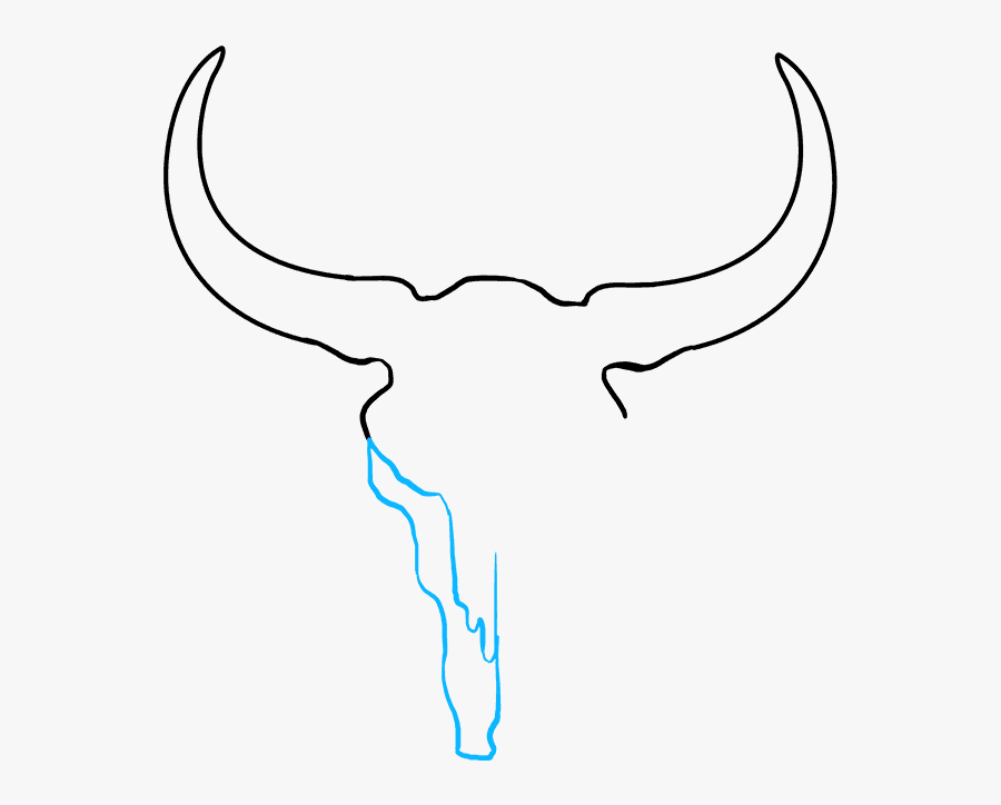 How To Draw Bull Skull, Transparent Clipart