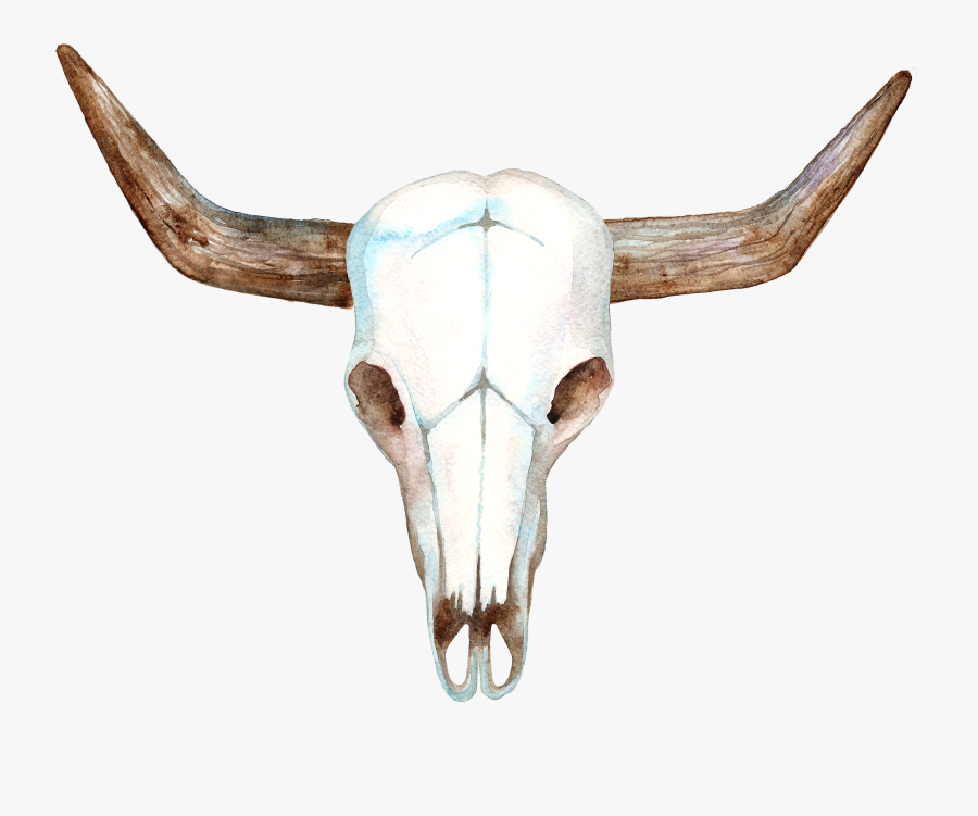 Bull Head Skull - Cow Head Skull Print, Transparent Clipart