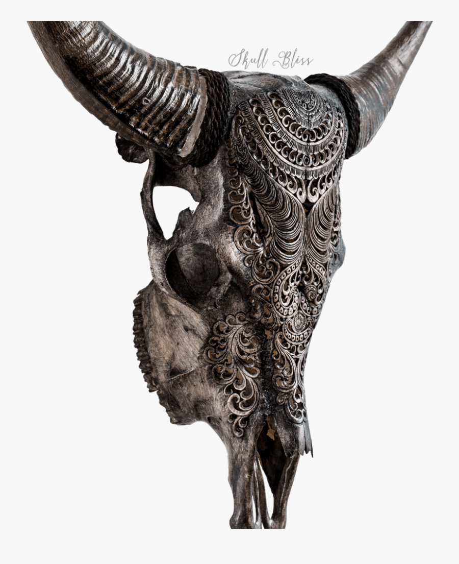 Cow Skull, Transparent Clipart