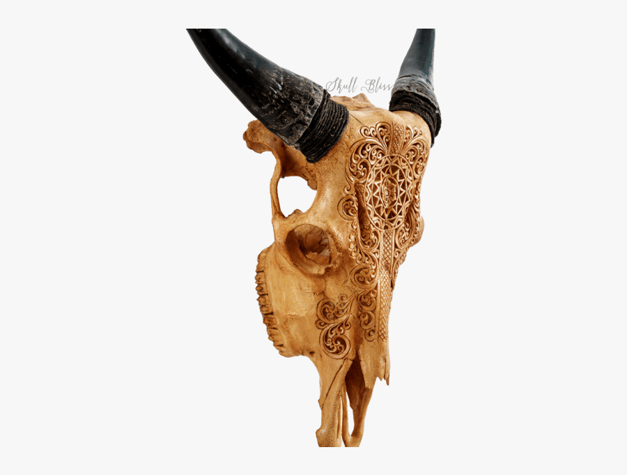 Carved Cow Skull - Skull, Transparent Clipart