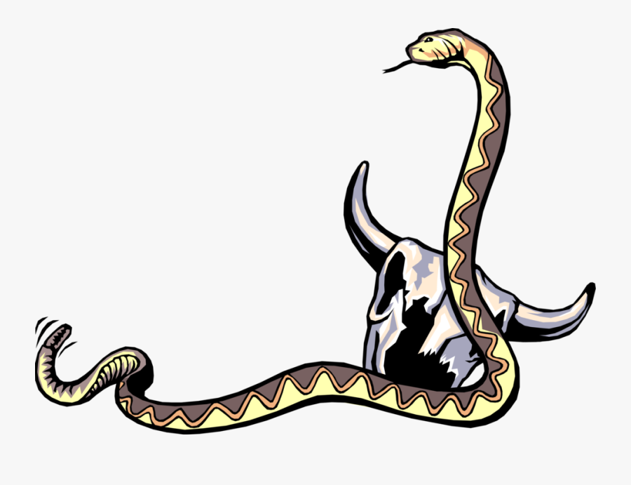 Vector Illustration Of Reptile Rattle Snake With Cattle - Rattlesnake, Transparent Clipart