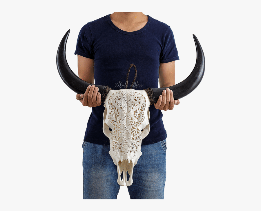 Carved Cow Skull // Xl Horns - Carved Skulls Viking, Transparent Clipart