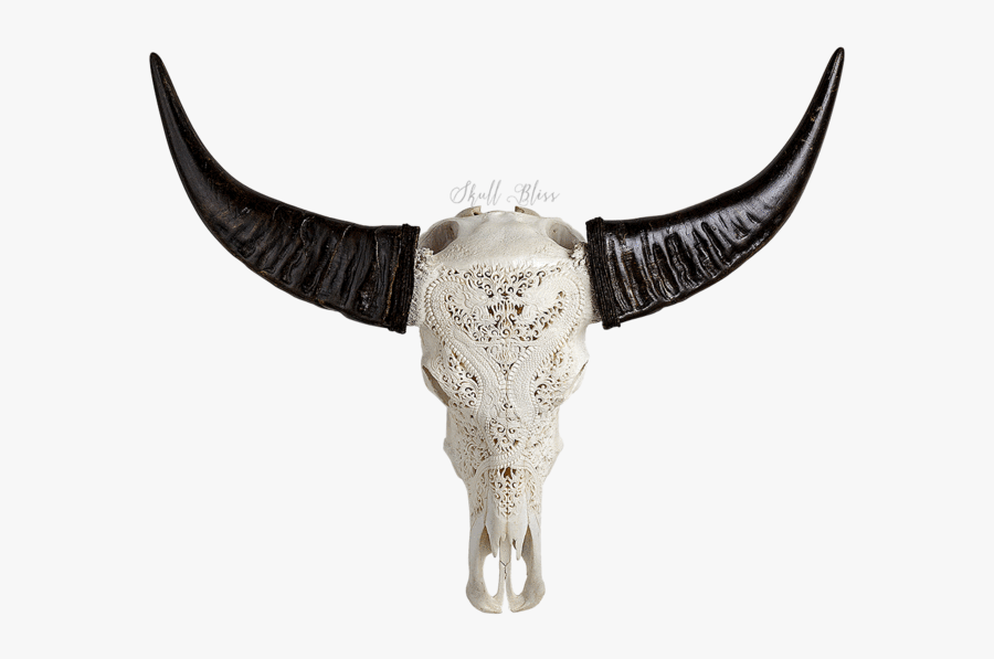Carved Buffalo Skull - Skull, Transparent Clipart