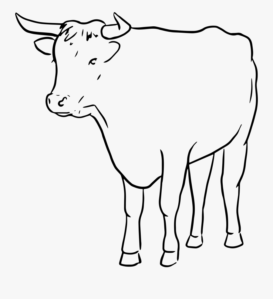 Cow Clipart Bull - Bull Drawing, Transparent Clipart
