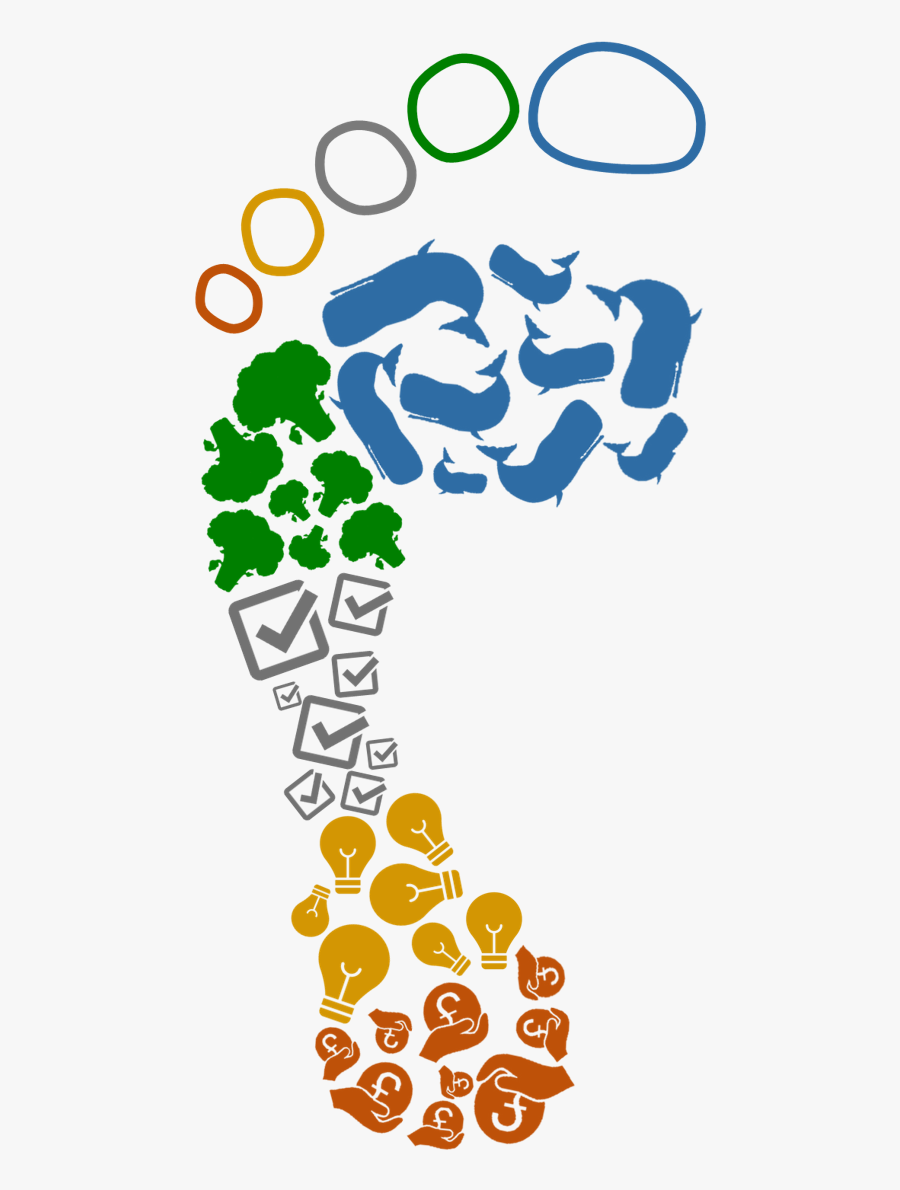 Graphic Design, Transparent Clipart
