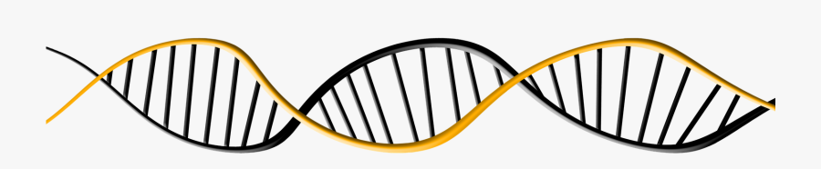 Biology Lab Clipart Png, Transparent Clipart