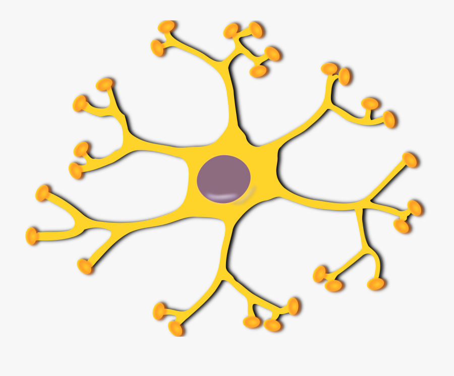 Brain Cell Clipart, Transparent Clipart