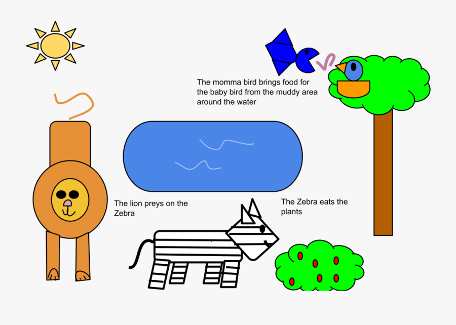 Ib Biology Figure Project - Community Examples, Transparent Clipart