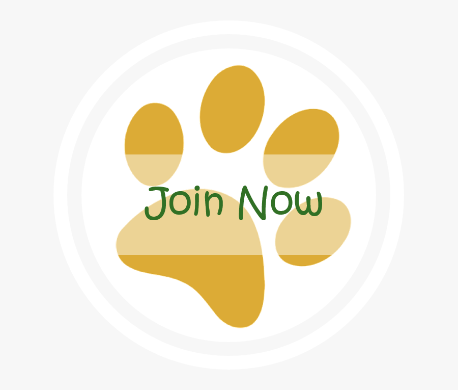 Circle, Transparent Clipart