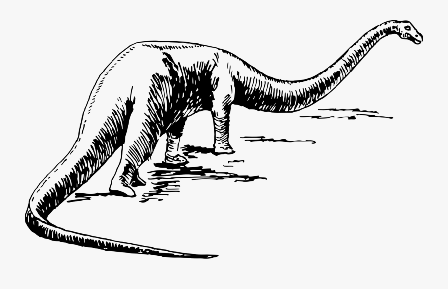 Monochrome Like Mammal - Black And White Dinosaur Vectors, Transparent Clipart