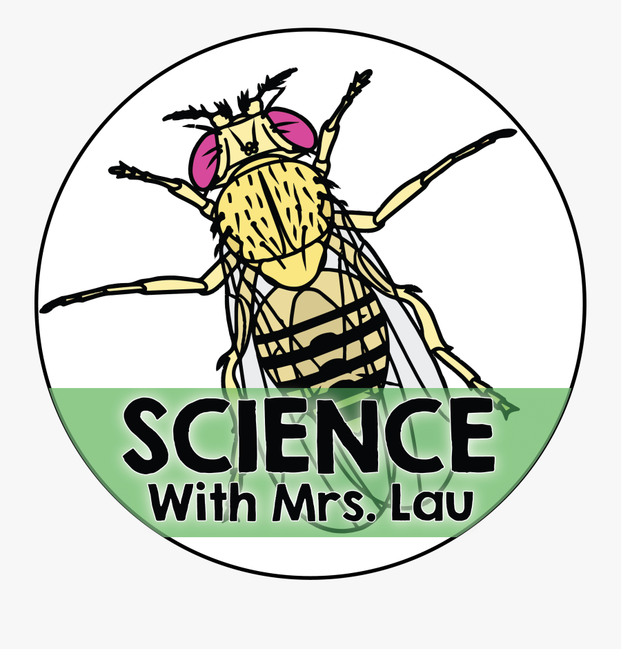 House Symbol, Transparent Clipart